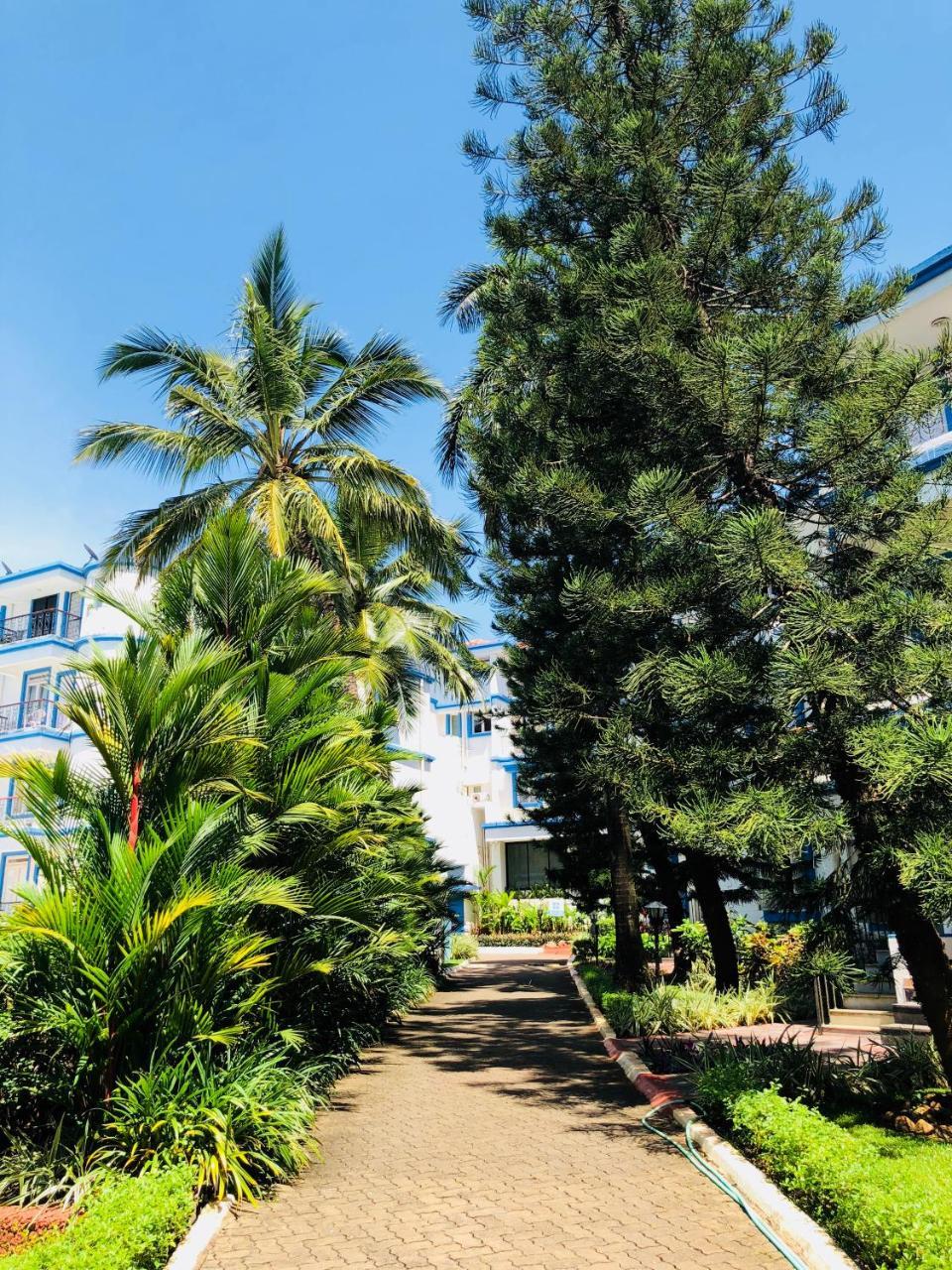 Resort Paradise Robinson